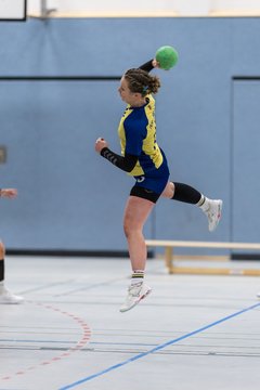 Bild 197 - F HSG Pinnau2 - Rellinger TV2 : Ergebnis: 27:20